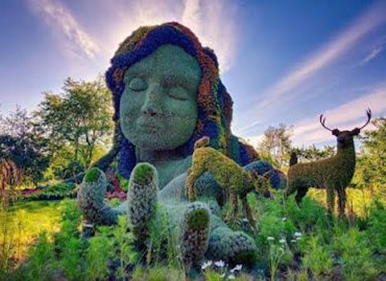 canada/montreal/attraction/montreal-botanical-garden