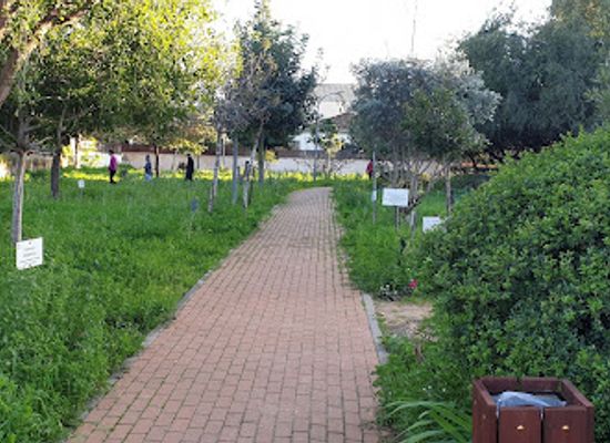 israel/ra-anana/attraction/shmurat-teva-etz-hashizaf