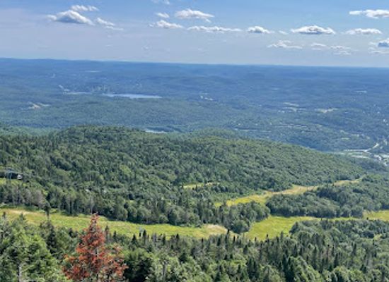 canada/laurentides/attraction/birds-of-prey