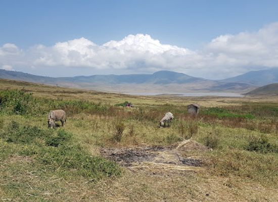 tanzania/ngorongoro-conservation-area/attraction/massai-dorf