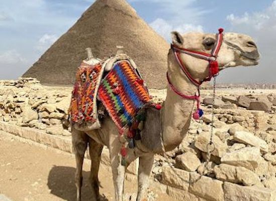 egypt/hurghada/attraction/pharaohs-tours