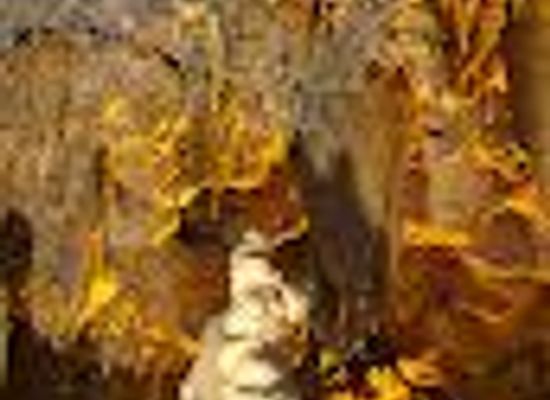 alabama/dothan/attraction/florida-caverns-state-park-visitor-center