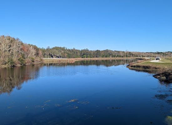 florida/gainesville-area/attraction/sweetwater-wetlands-park