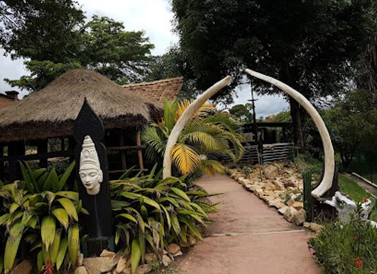 madagascar/androy/attraction/croc-farm-conservatoire-botanique-de-madagascar
