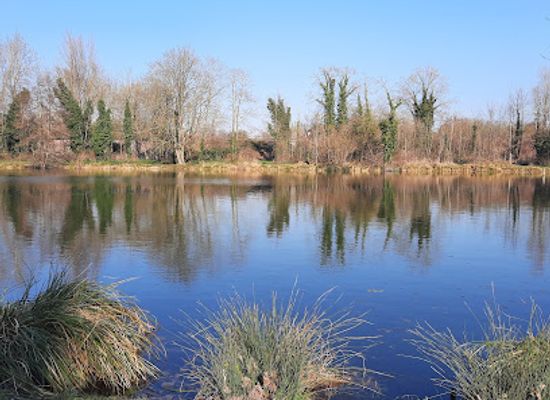 france/amiens/attraction/marais-des-trois-vaches