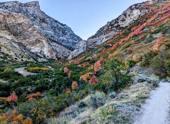 utah/uinta-wasatch-cache-national-forest/attraction/rock-canyon