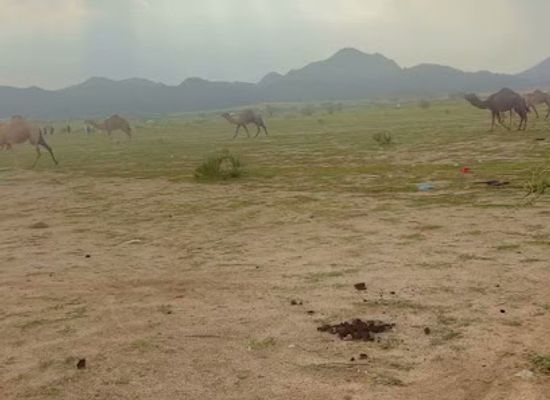 saudi-arabia/asir-mountains/attraction/azbat-al-sowalha