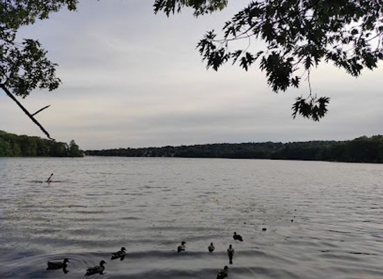massachusetts/middlesex-county/attraction/mystic-lakes-state-park