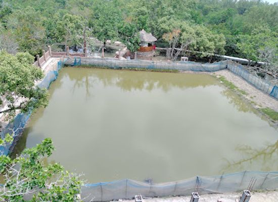 bangladesh/sundarbans-national-park/attraction/kalagasia-watch-tower