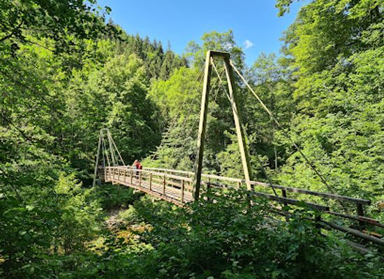 germany/black-forest/attraction/wutach-gorge