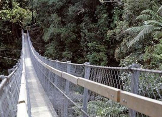 new-zealand/masterton/attraction/kaitoke-regional-park