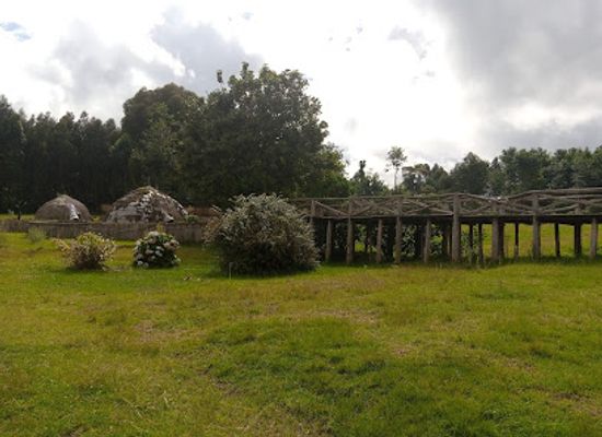 rwanda/nyagatare/attraction/gorilla-naming-place-kwita-izina-kinigikong