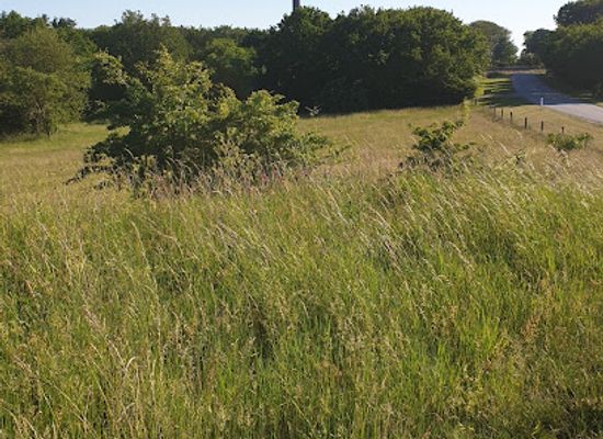 denmark/frederikshavn/attraction/fladbjerg-gravhoj