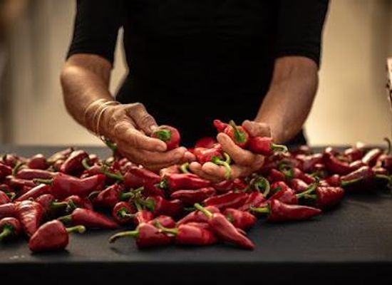 france/pays-basque/attraction/boutique-bipertegia-producteur-de-piment-d-espelette-aop