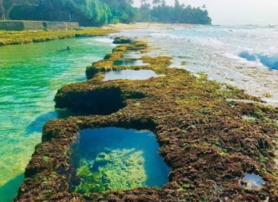 sri-lanka/matara-district/attraction/thalpe-beach