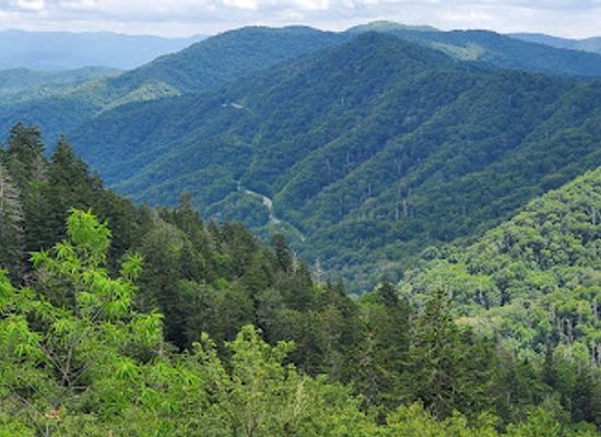 north-carolina/great-smoky-mountains/attraction/newfound-gap
