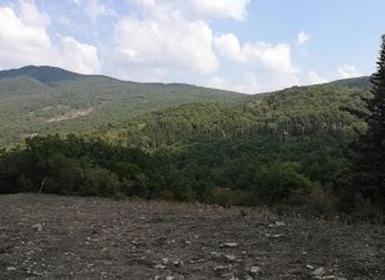 italy/basilicata/attraction/parco-gallipoli-cognato