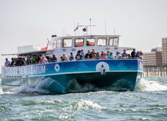 virginia/virginia-beach/sandbridge-beach/attraction/virginia-aquarium-marine-science-center