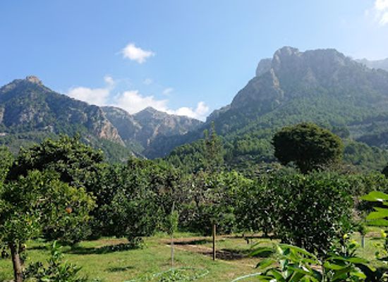 spain/serra-de-tramuntana/attraction/ecovinyassa