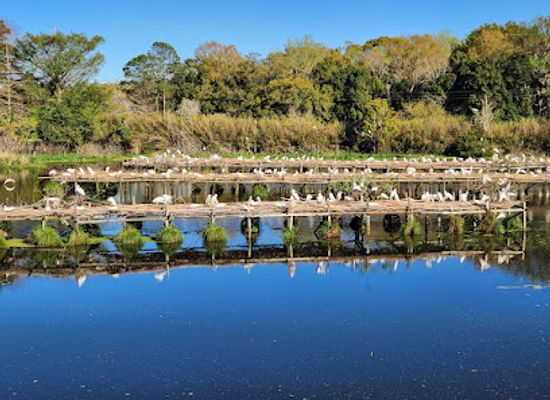 louisiana/atchafalaya-basin/attraction/jungle-gardens