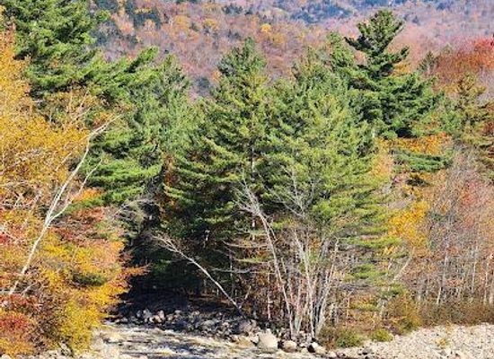 vermont/mad-river-valley/attraction/mad-river