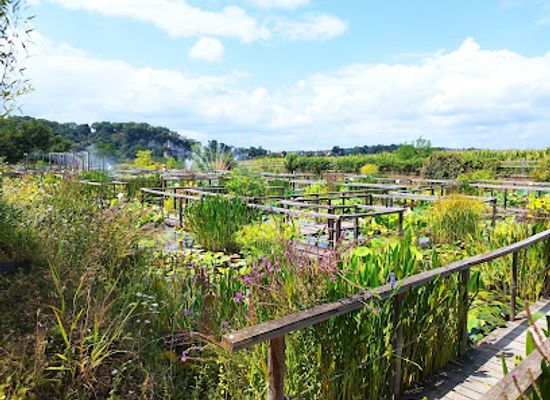 france/dordogne/attraction/the-water-gardens-of-carsac