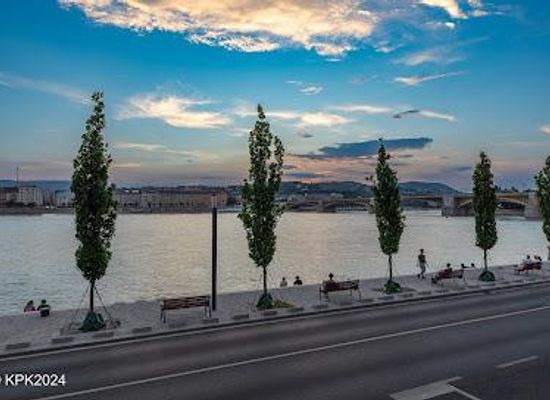 hungary/central-hungary/attraction/carl-lutz-rakpart