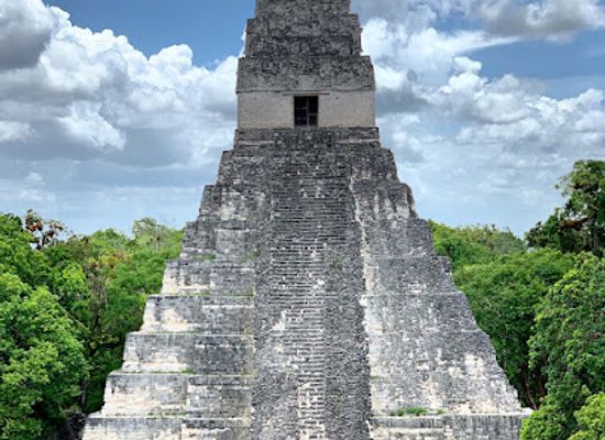 guatemala/tikal-national-park/attraction/biotopo-protegido-san-miguel-la-palotada-el-zotz