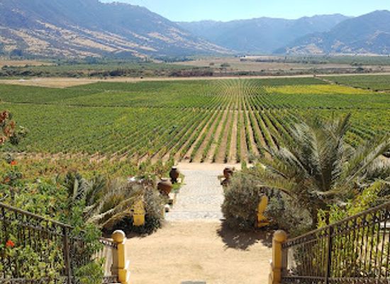 chile/colchagua-valley/attraction/vina-santa-cruz
