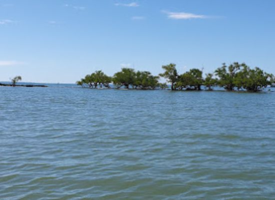 madagascar/nosy-be/attraction/reserve-lokobe