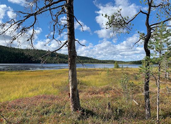 sweden/swedish-lapland/attraction/bjornlandets-nationalpark