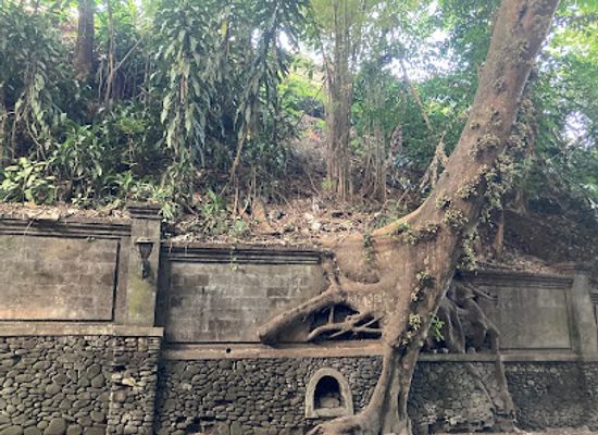 indonesia/ubud/attraction/green-tunnel-ubud-main-street