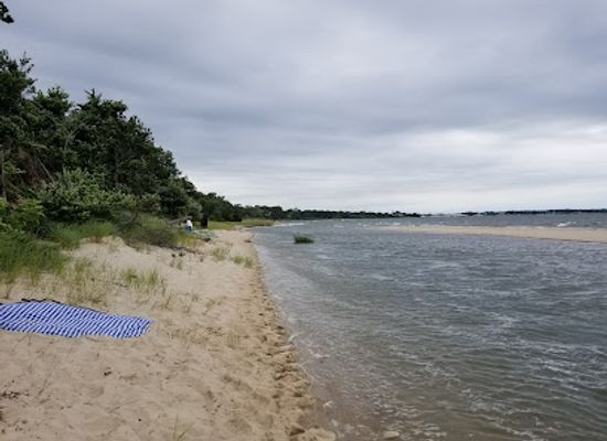 new-york/the-hamptons/attraction/havens-beach