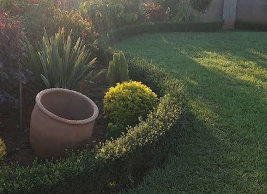 malawi/southern-region/attraction/serenity-garden