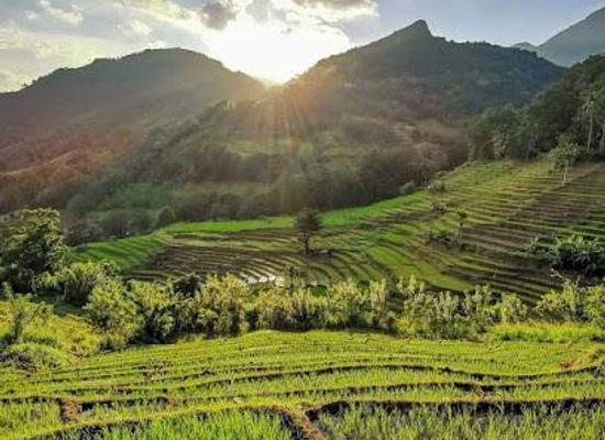 sri-lanka/central-province/attraction/hunnasgiriya
