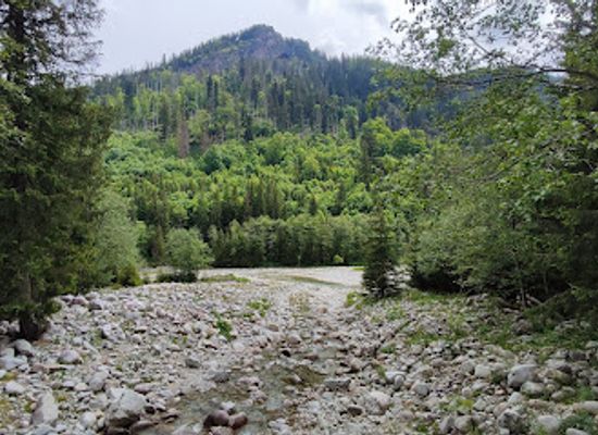 poland/tatra-mountains/attraction/mostek-nad-waksmundzkim-potokiem