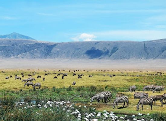 tanzania/ngorongoro-conservation-area/attraction/ngorongoro-crater
