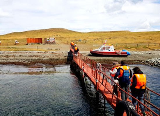 chile/punta-arenas/attraction/los-pinguinos-natural-monument