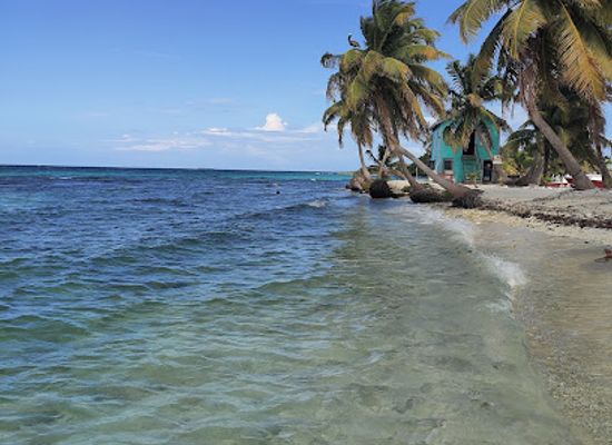 belize/stann-creek-district/attraction/seahorse-dive-shop