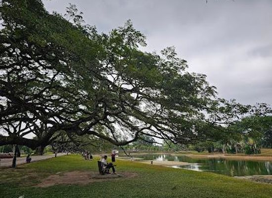 malaysia/northern-region/attraction/taiping-lake-garden