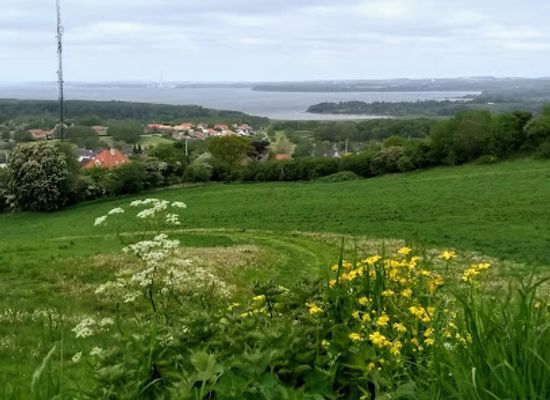 denmark/mols-bjerge-national-park/attraction/gravhoj