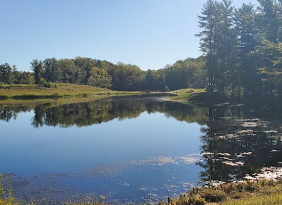 indiana/the-southern-hills-and-lowlands/attraction/greene-sullivan-state-forest
