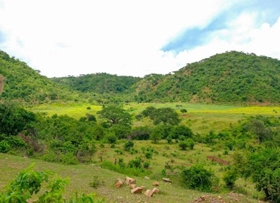 tanzania/rift-valley/attraction/sekenke-mountains