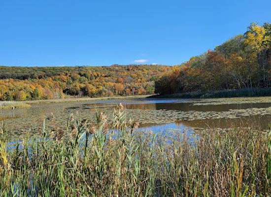 connecticut/litchfield-hills/attraction/sharon-audubon-center