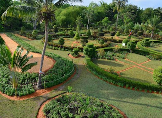 haiti/sud-est/attraction/cayes-botanical-garden