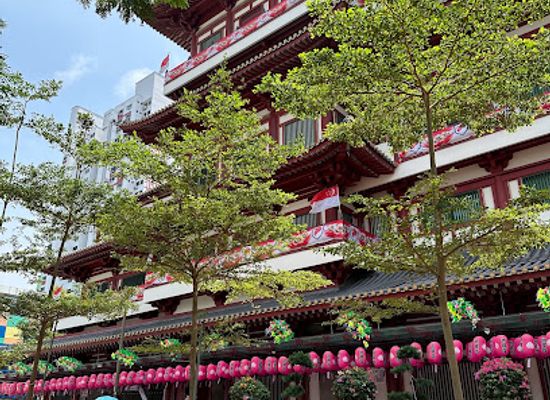 singapore/chinatown/attraction/temple-cats