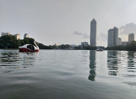 sri-lanka/colombo-district/attraction/swan-peddle-boat-rental-service