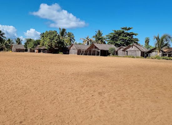 madagascar/diana/attraction/reserve-speciale-de-manongarivo