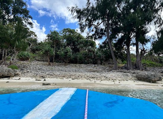 vanuatu/efate/attraction/chief-roi-mata-s-domain