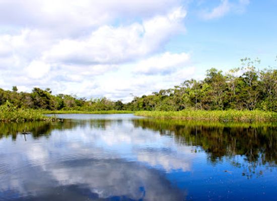 ecuador/northeast-oriente/attraction/laguna-lagartococha